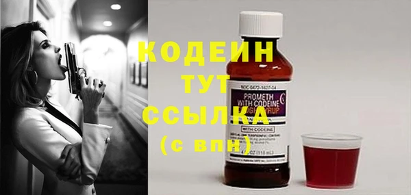 молекула духа Киренск