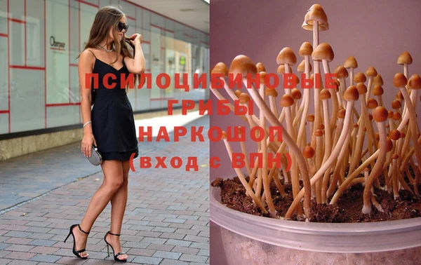 молекула духа Киренск