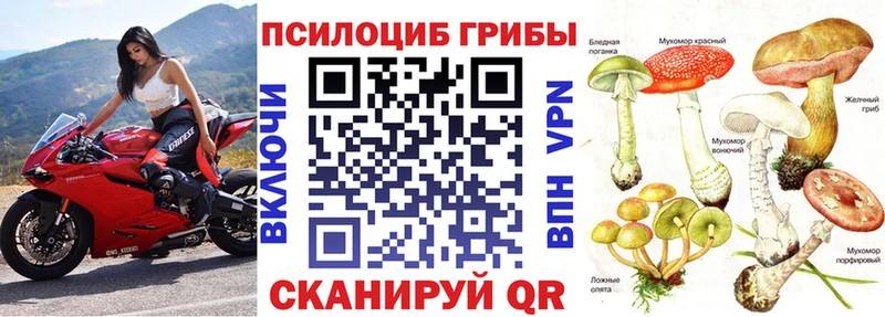 Купить  Красный Сулин  Галлюциногенные грибы Psilocybine cubensis 